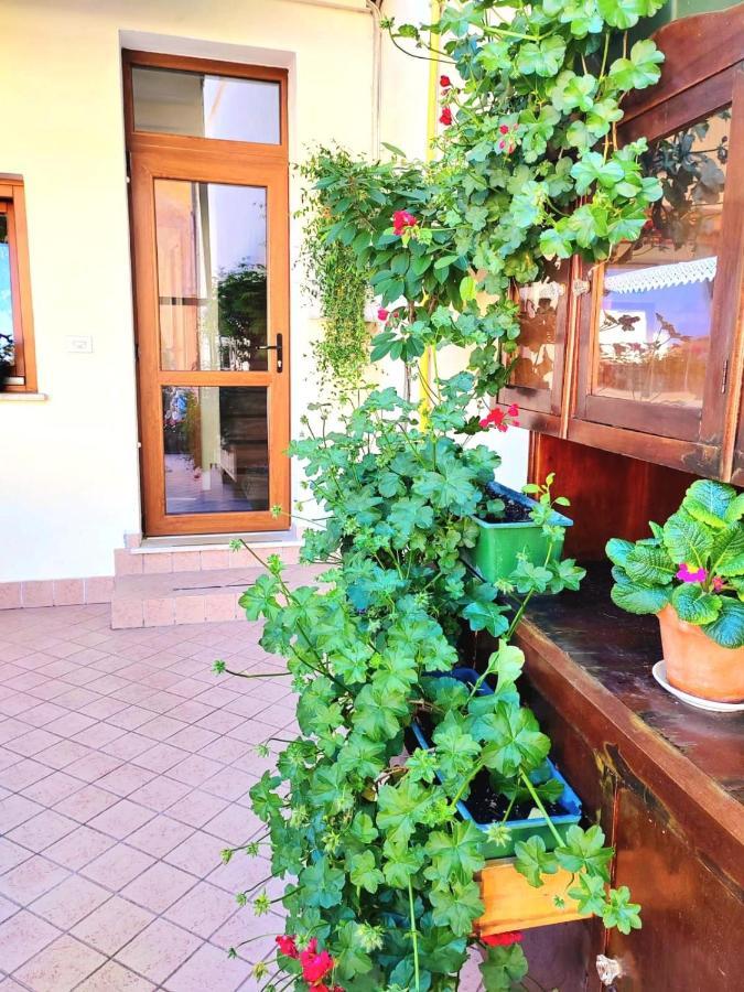 Hotel Luisa Brenzone sul Garda Kültér fotó
